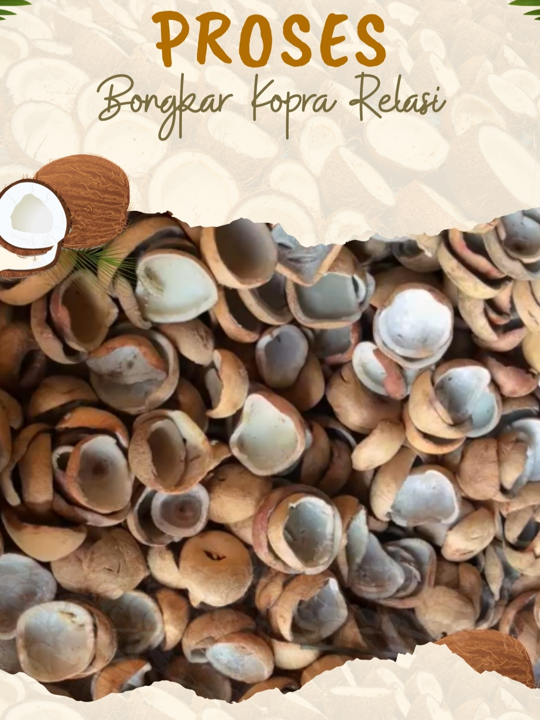 @Sempurna Pratama Indonesia