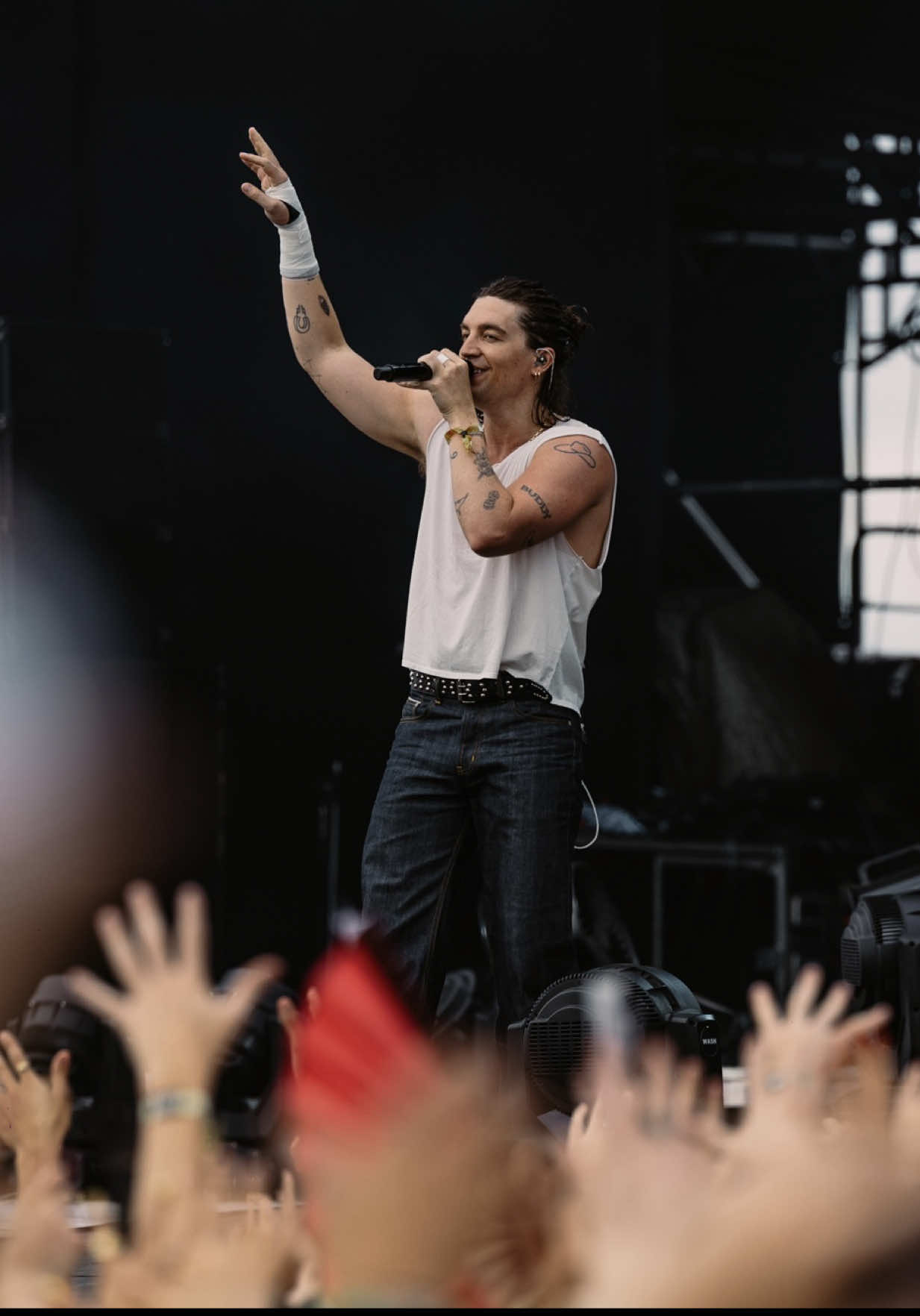 @lollapaloozaar