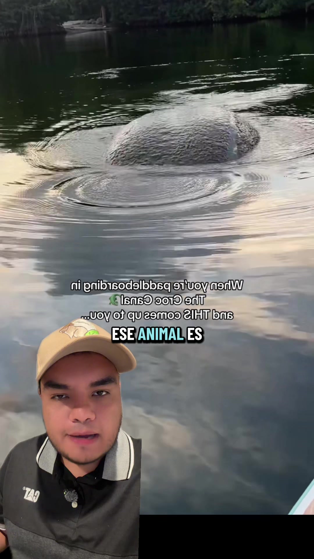 @Jair Herrera 🐆