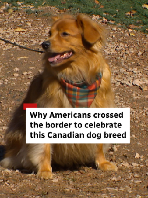 @CBC Nova Scotia
