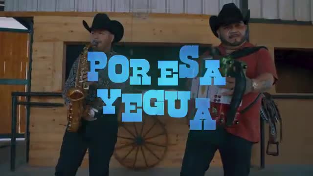 @PEDROMARQUEZ