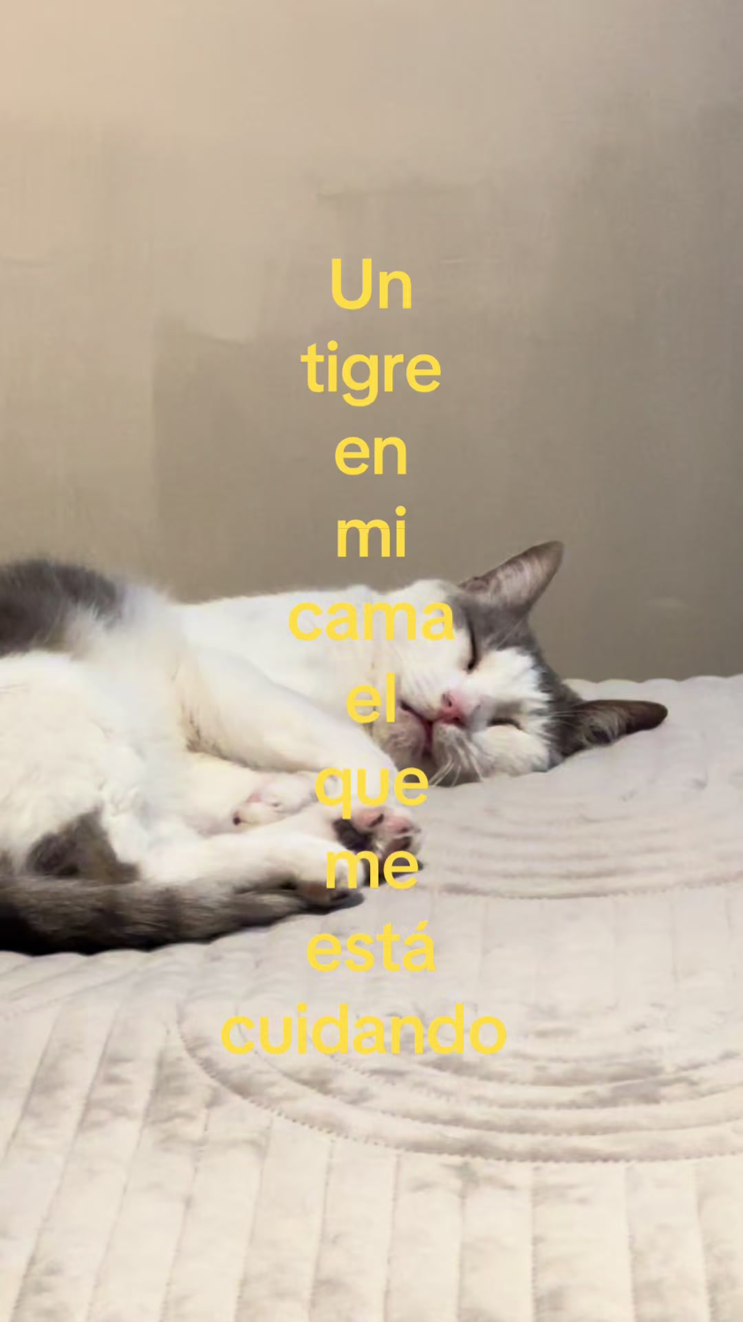 @𝓟𝑺 ✌︎㋡