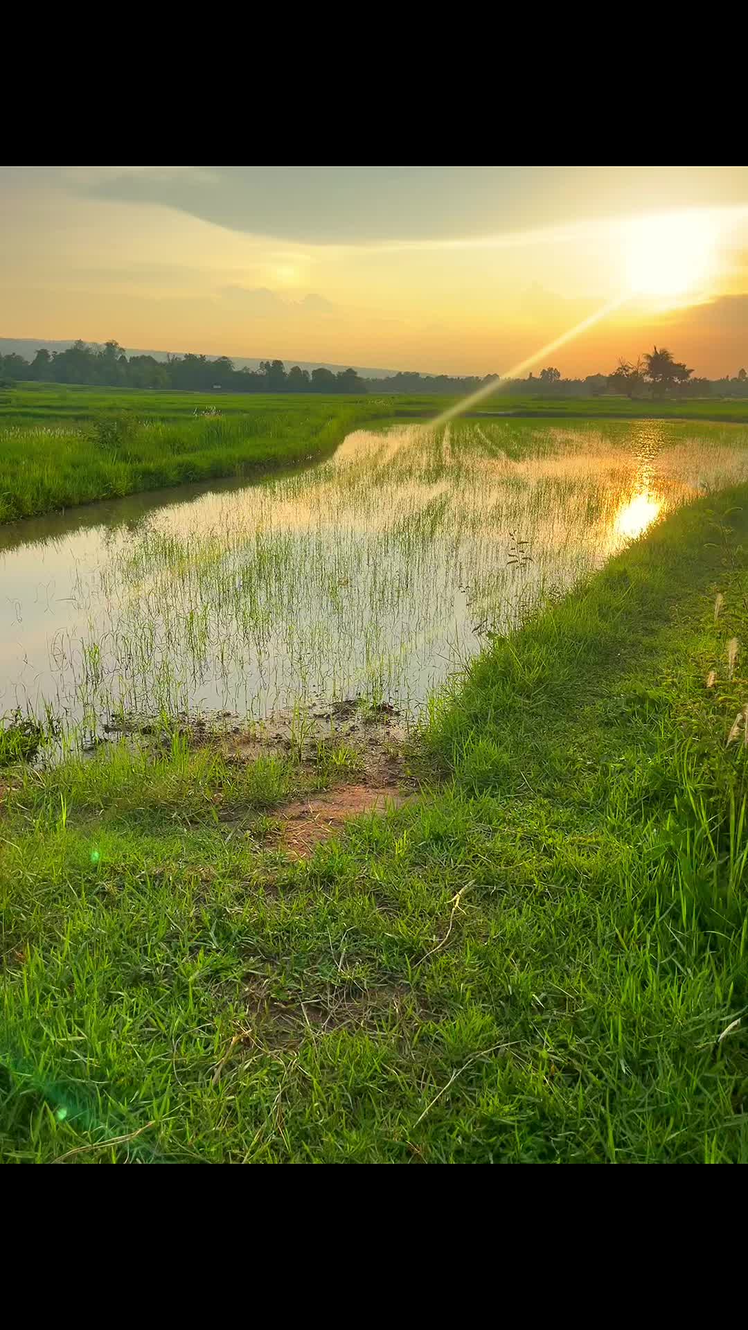 @คนเลาะน้ำ 1