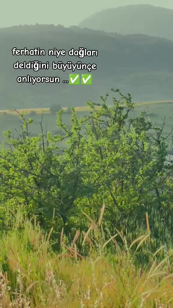 @👑 ALLİHAN 👑
