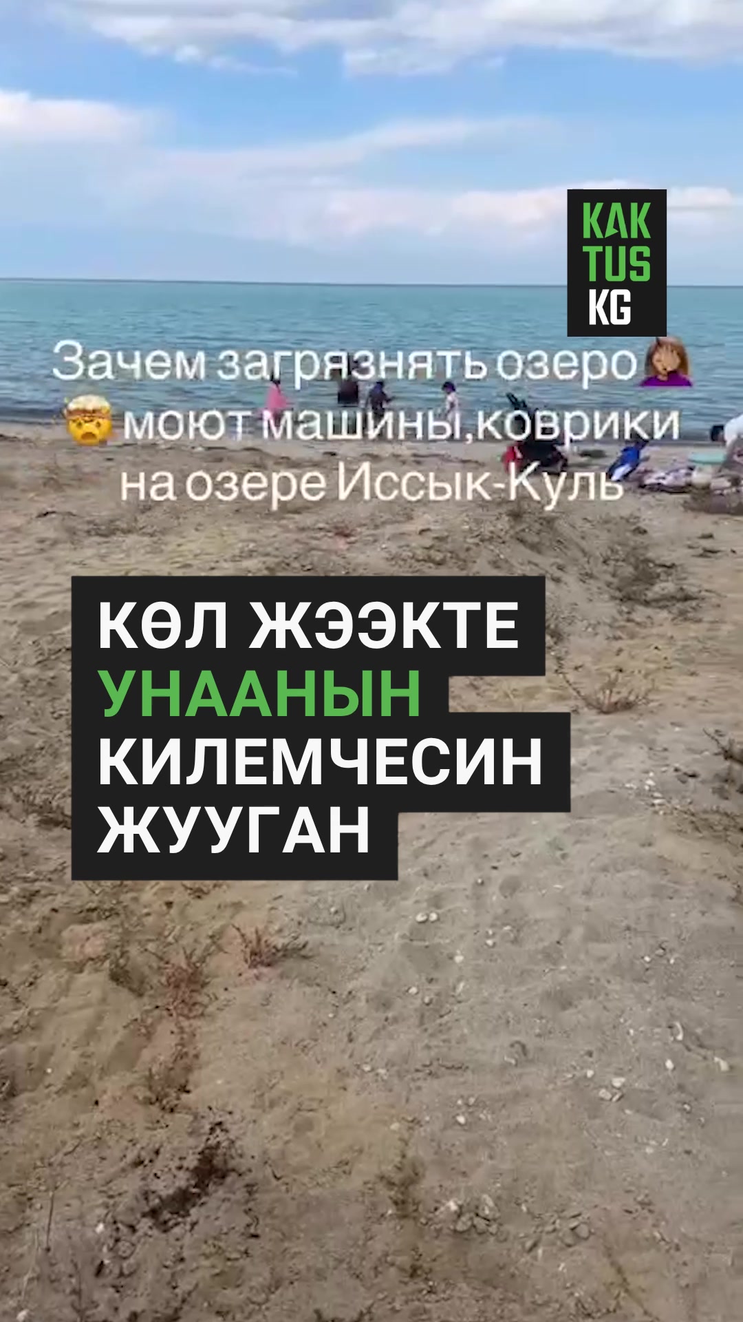 @Kaktus KG