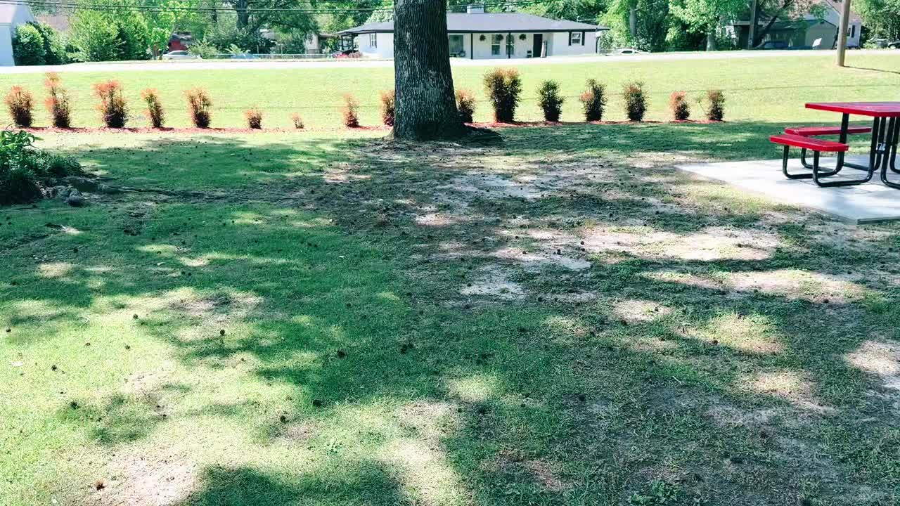 @ALABAMA
