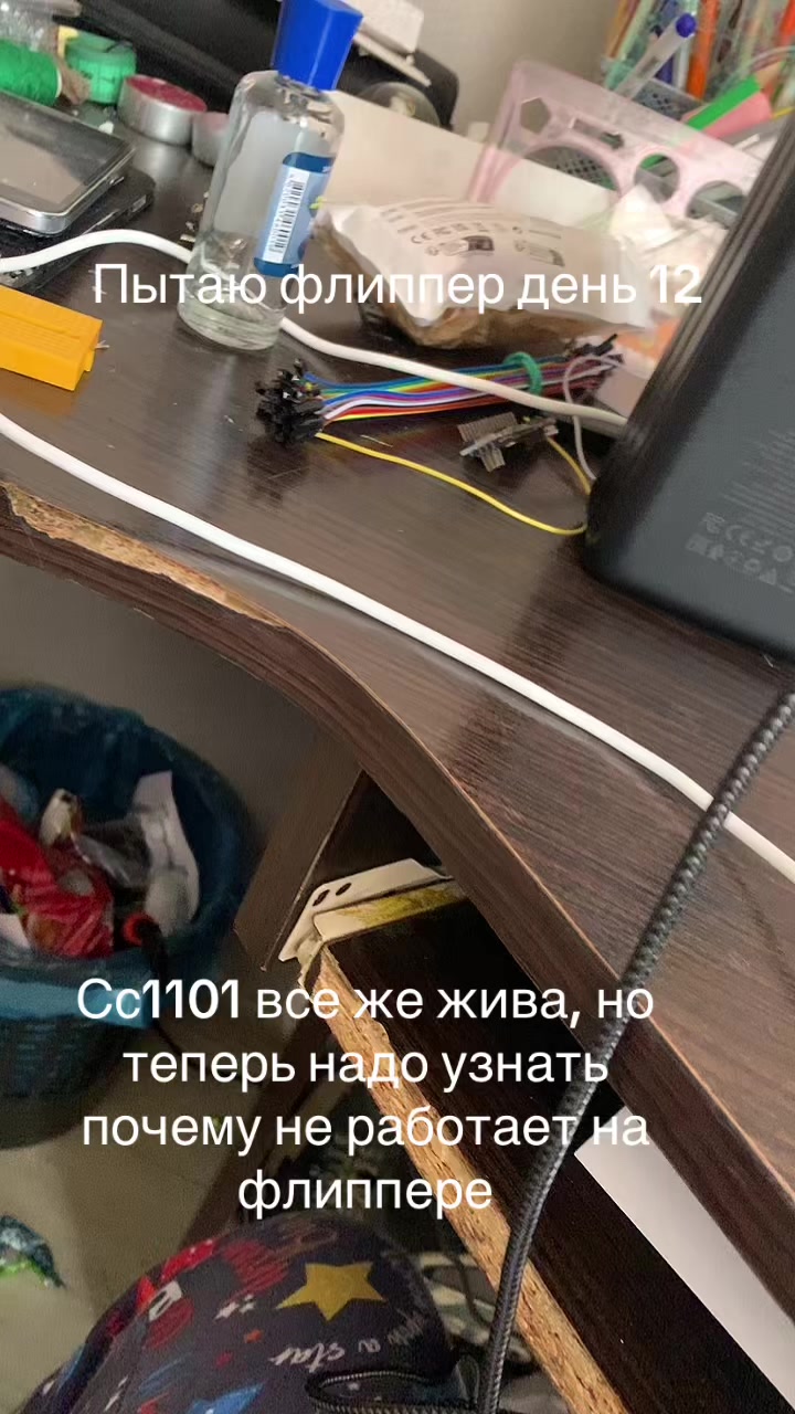 @Skid.tech