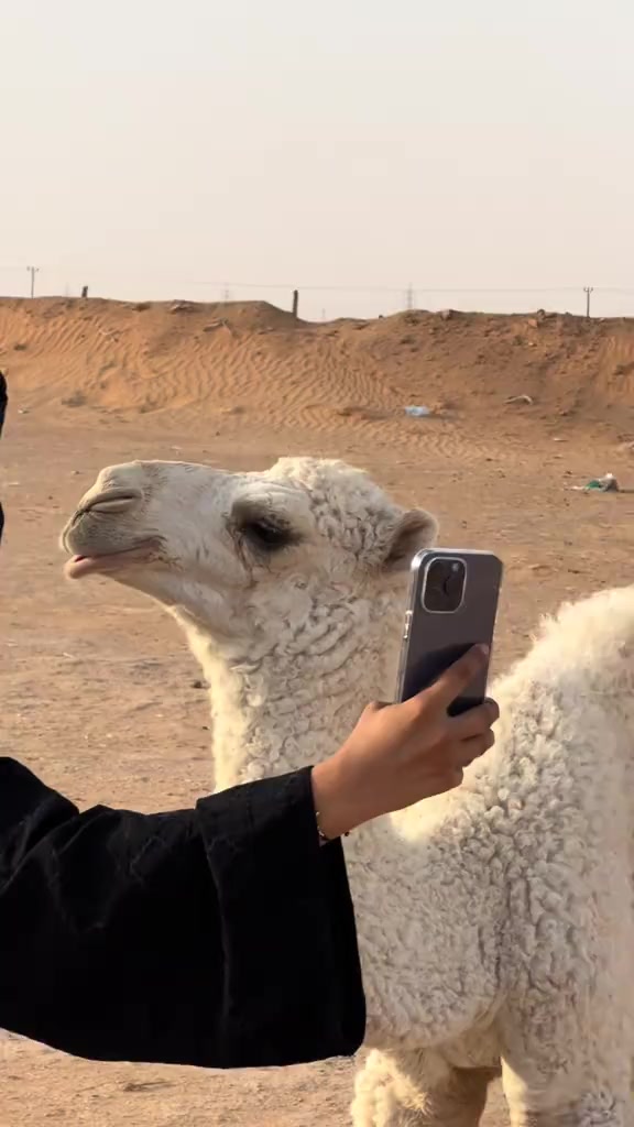 @💔بن تسمیہ 🇸🇦