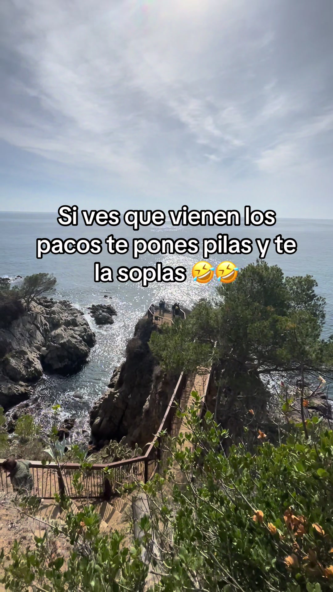 @cristhianeme