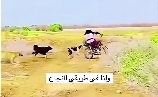 @ᎻᎯᎷᎬᎠ ᎪᏚᎥᏒᎥ..🇸🇦