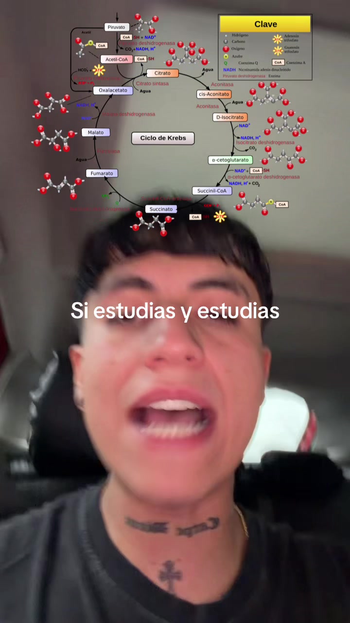 @ENDOBOY