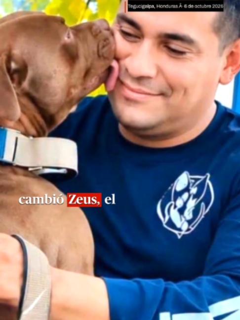 @elheraldohonduras
