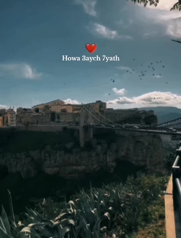 @𝑰𝑩𝑻𝑰ⵣ★