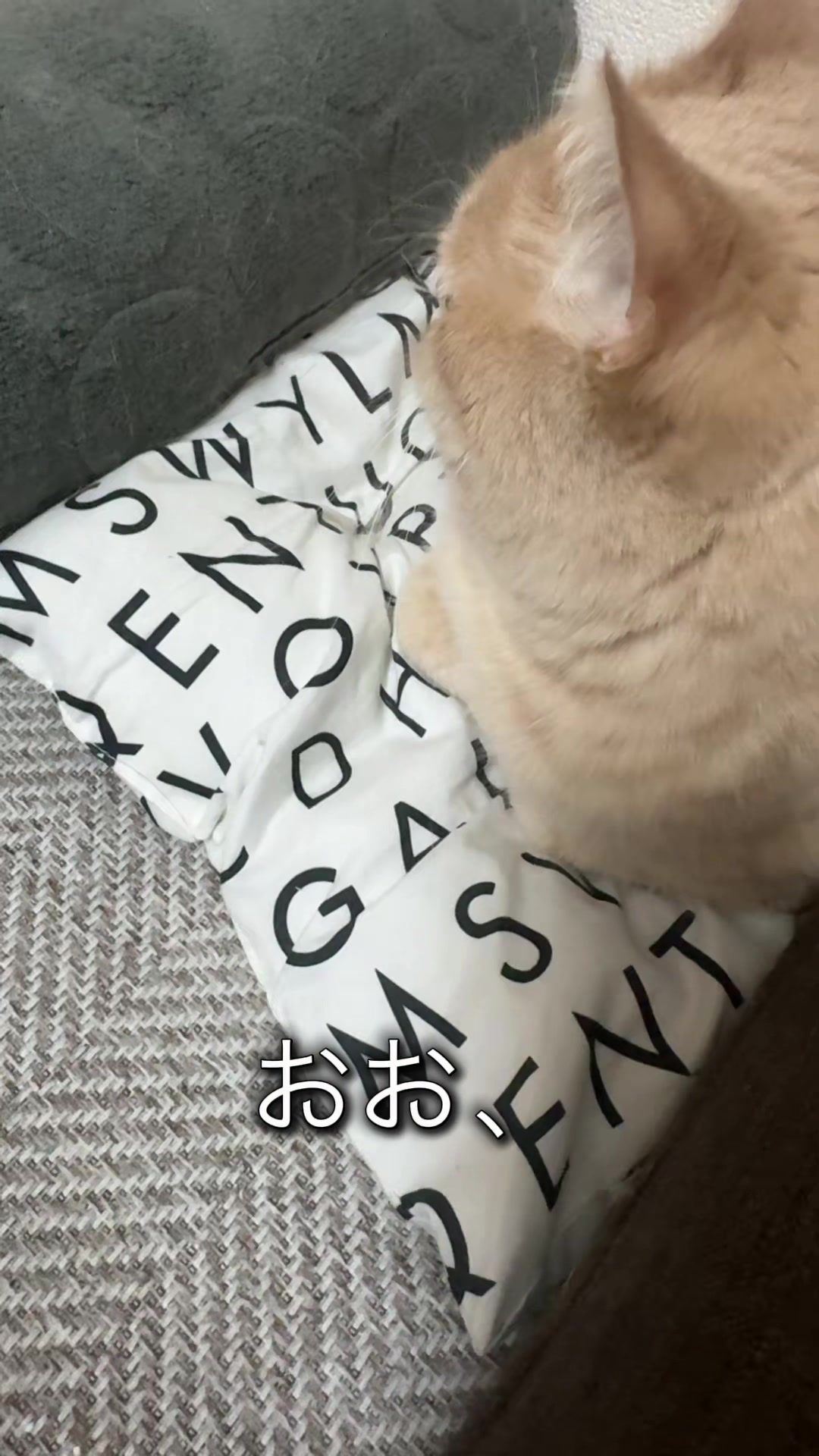 @ð«ð§ããã±ã³ðïžãããµãð§ð«