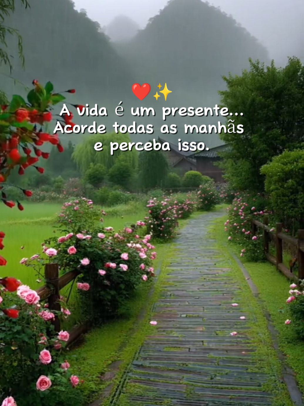 @Olga latchuk