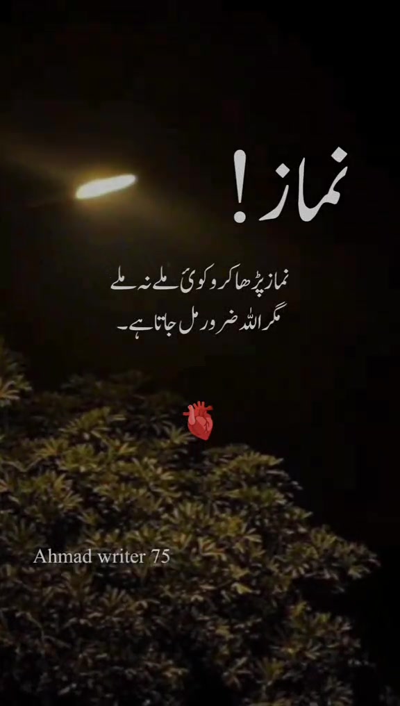 @@mia Afzal 🥰🫶