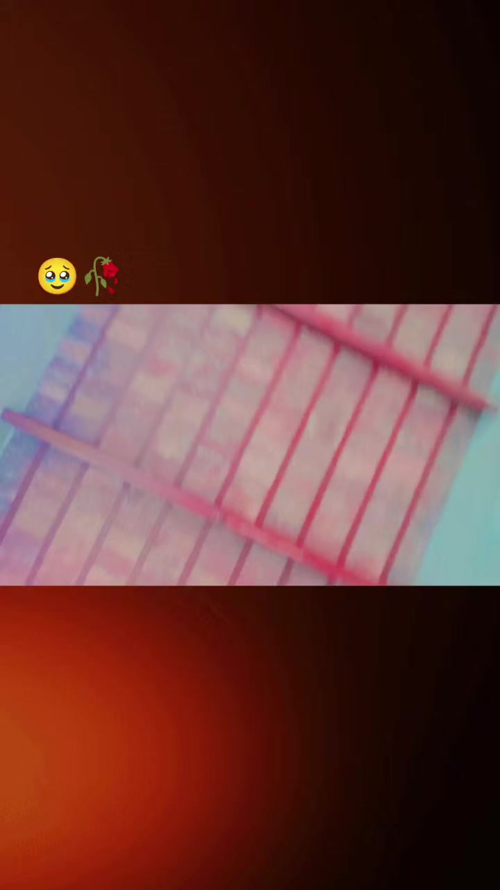 @👑Sajeel SaJu Malik👑