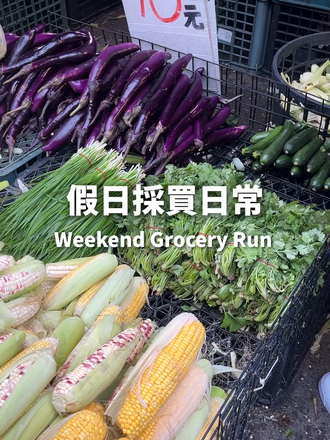@桃漂屁屁雅