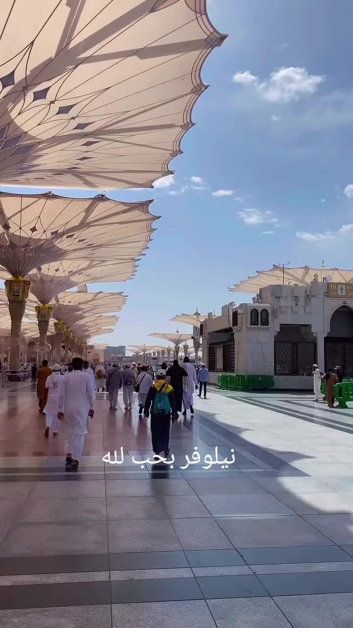 @نيلوفر