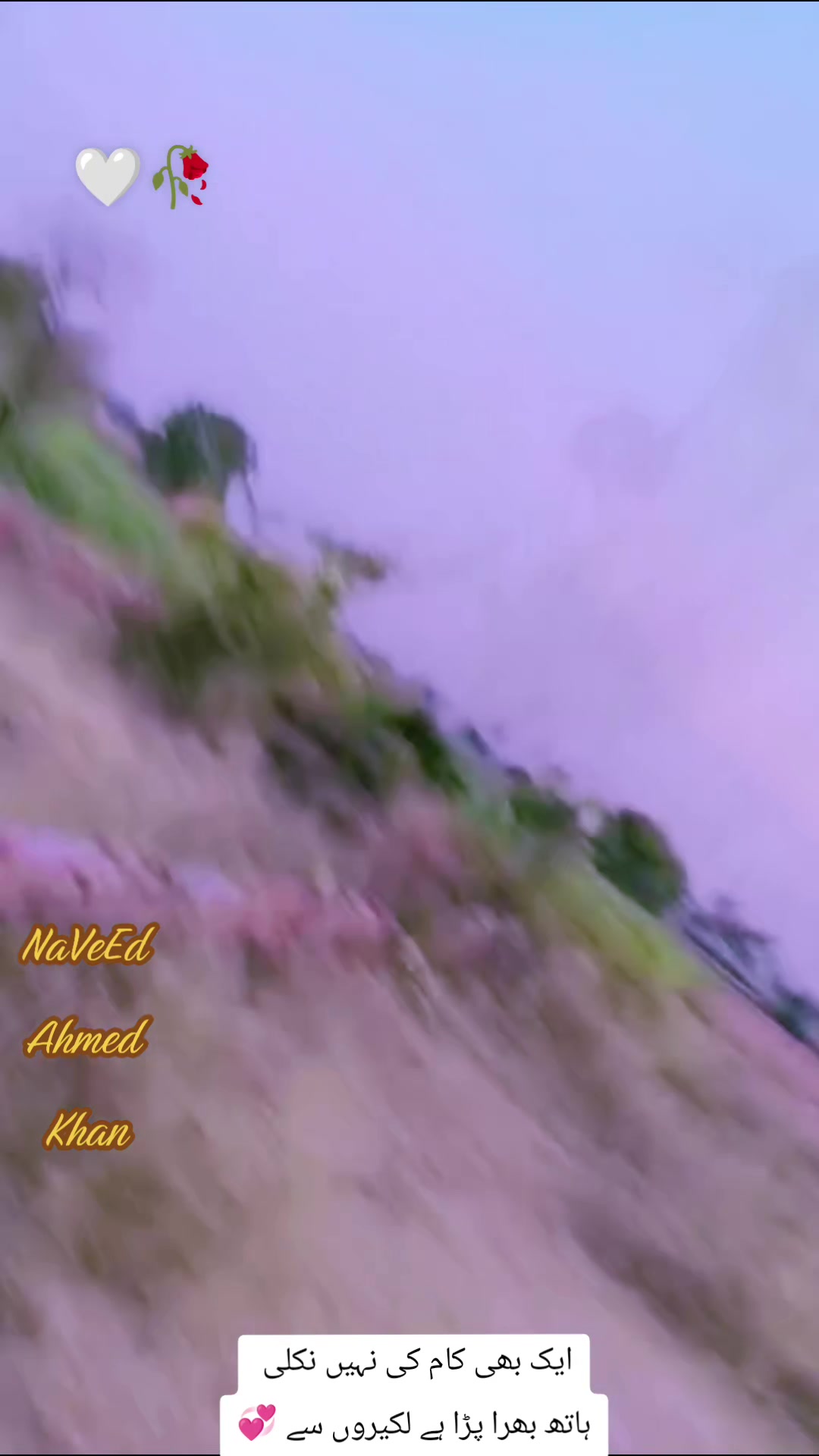 @Naveed Ahmed
