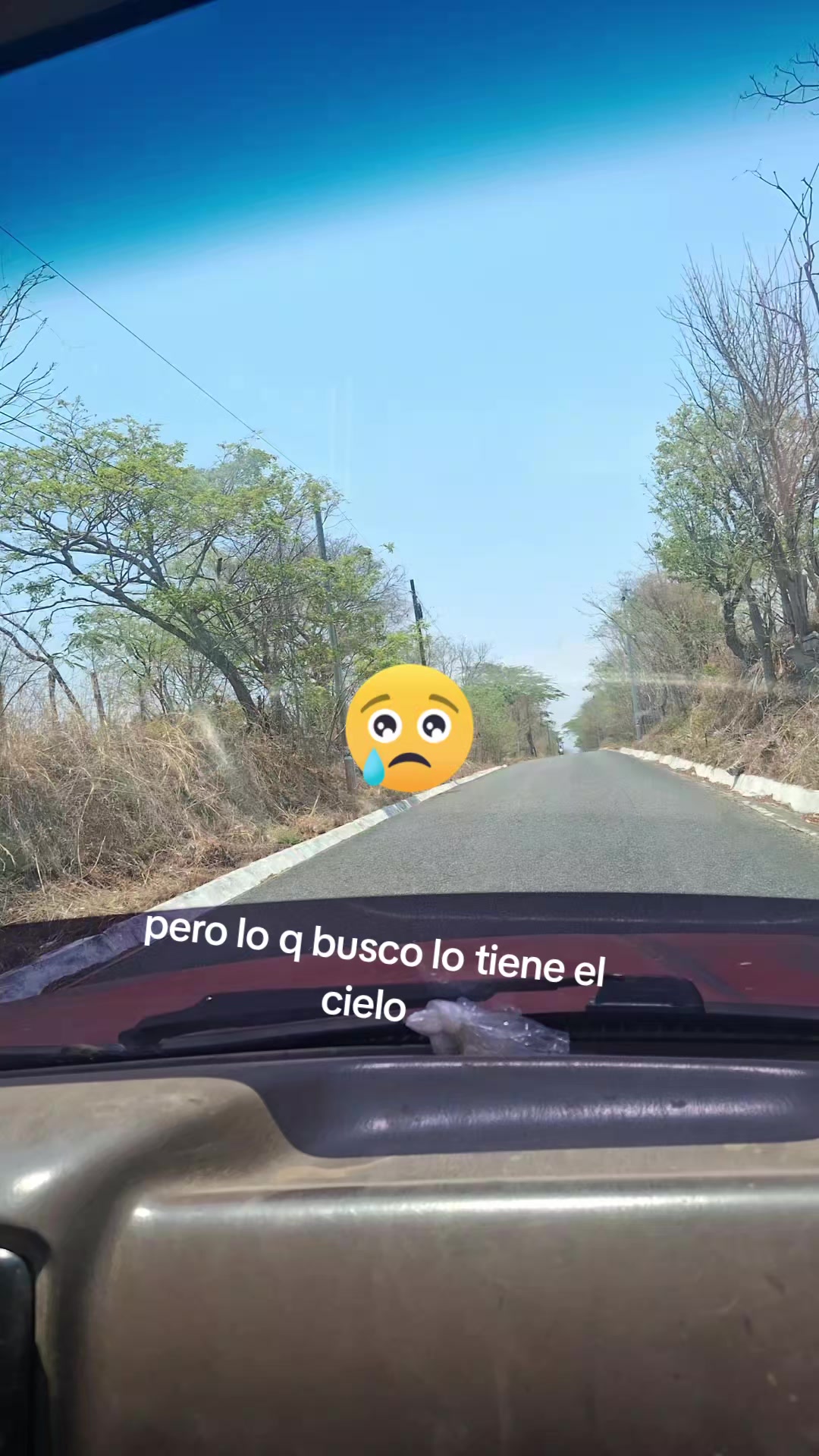 @Silvia garcia