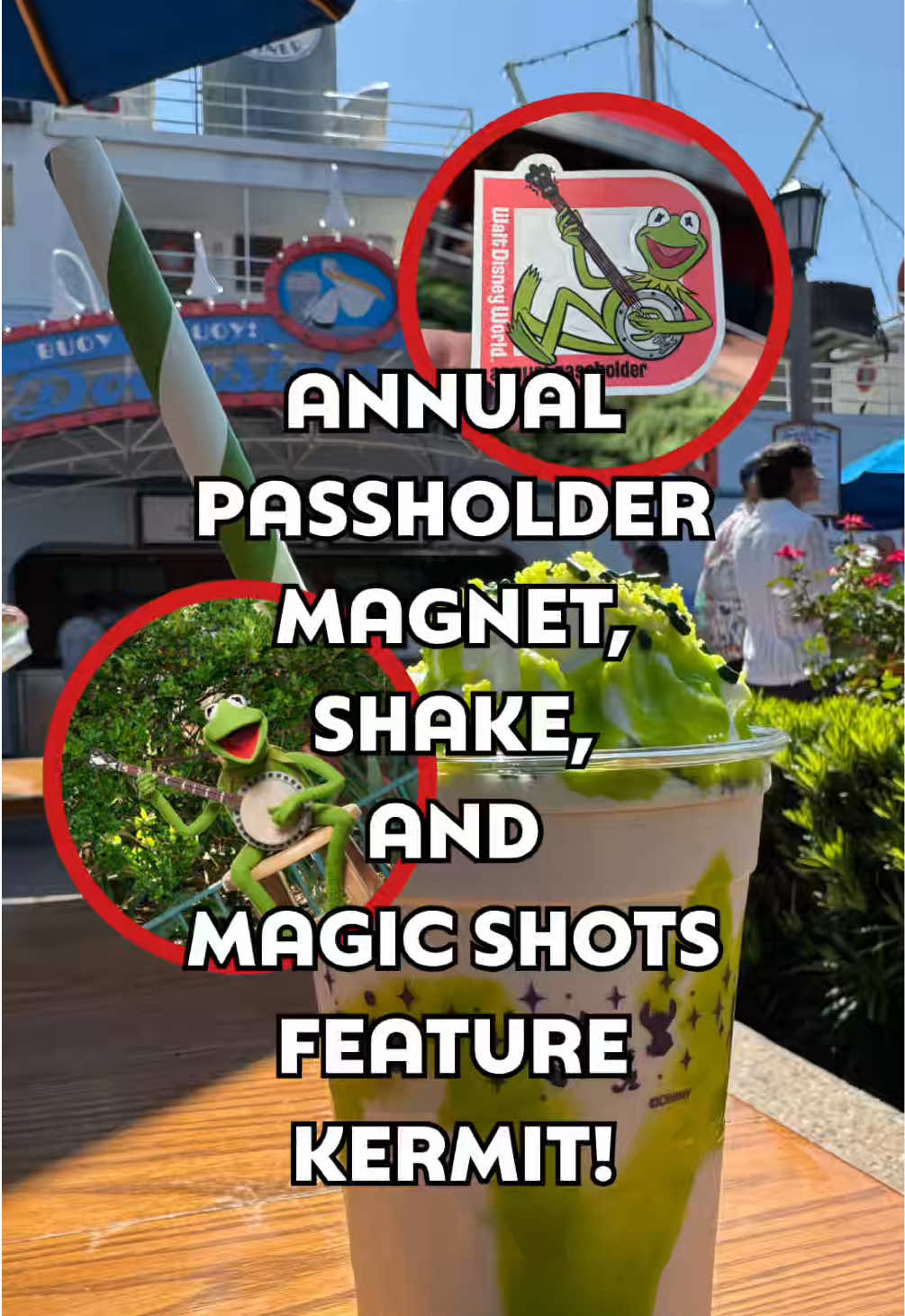@WDW NEWS TODAY