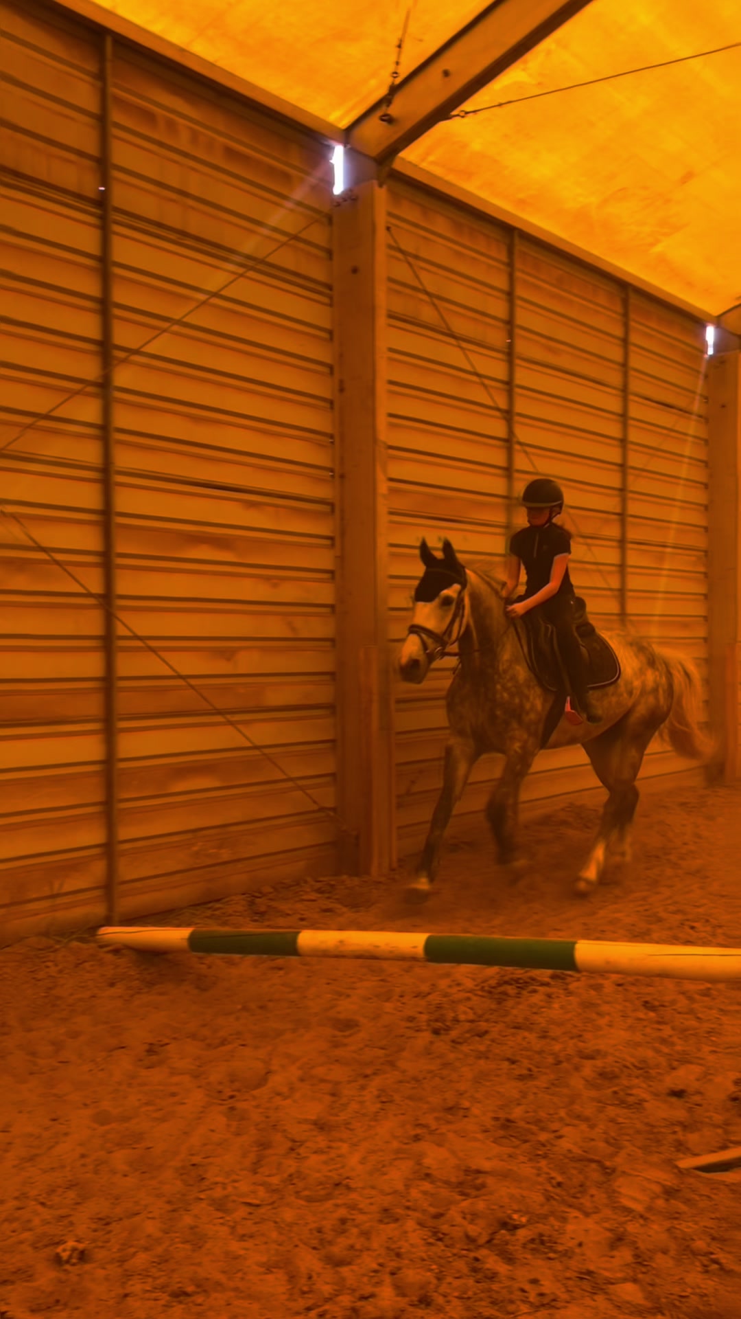 @😻🐴Eq._.N🐴😻