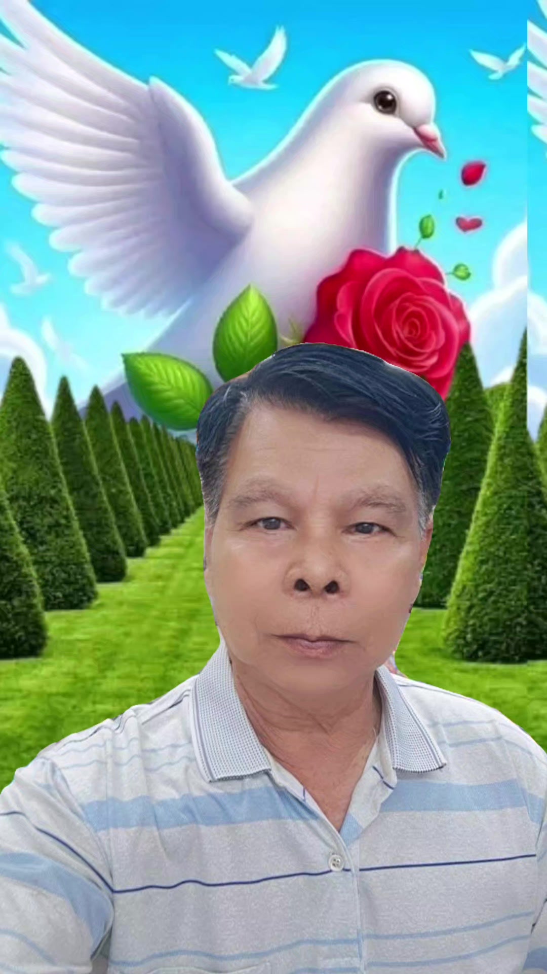 @เพชร ชมภู