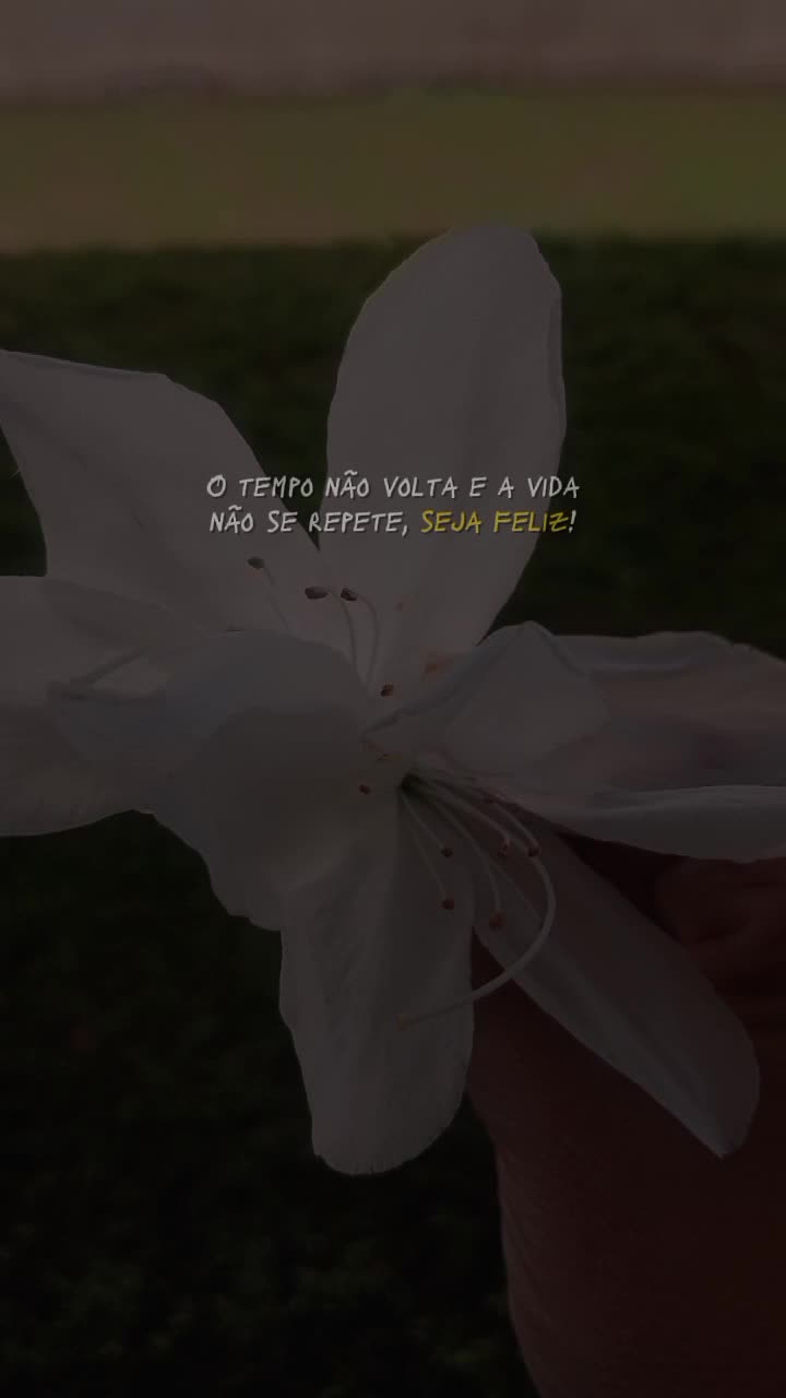 @Giovana Duarte✨