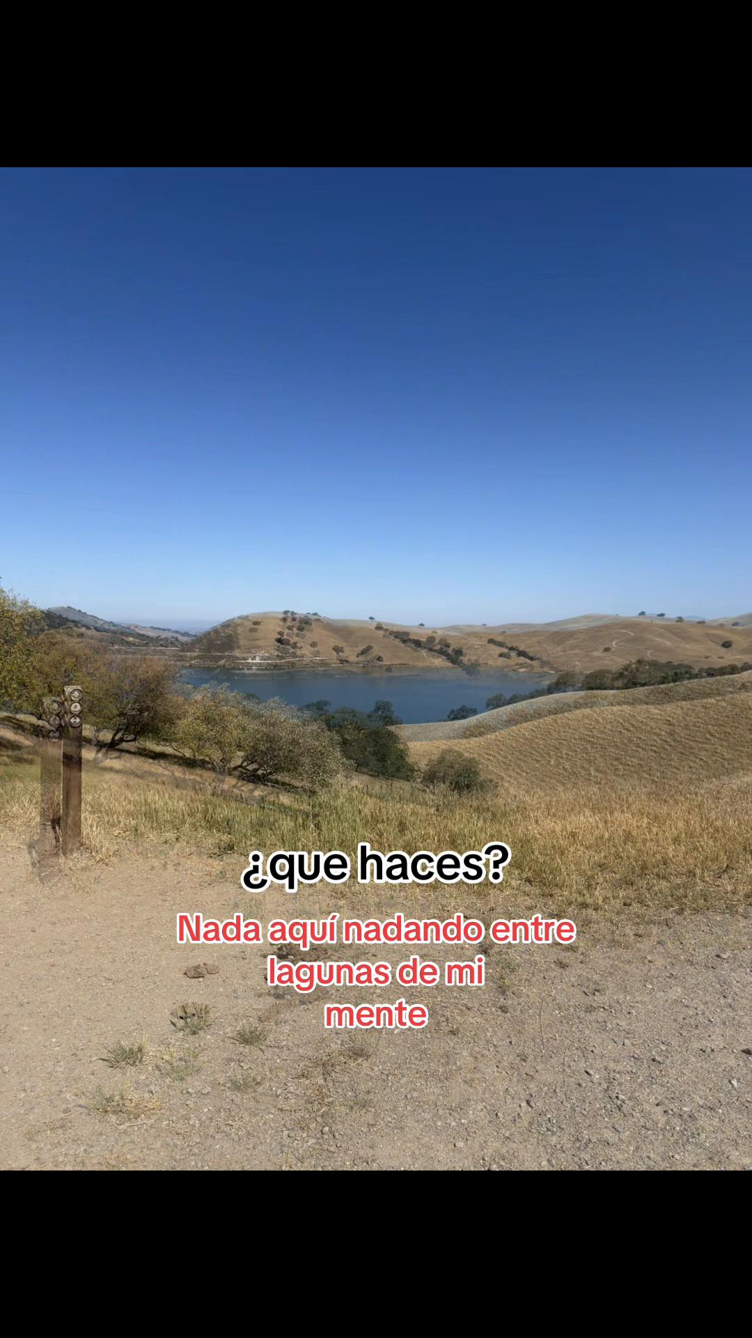 @user123386698
