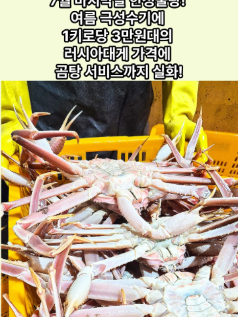@킹크랩 대게 동해수산유통