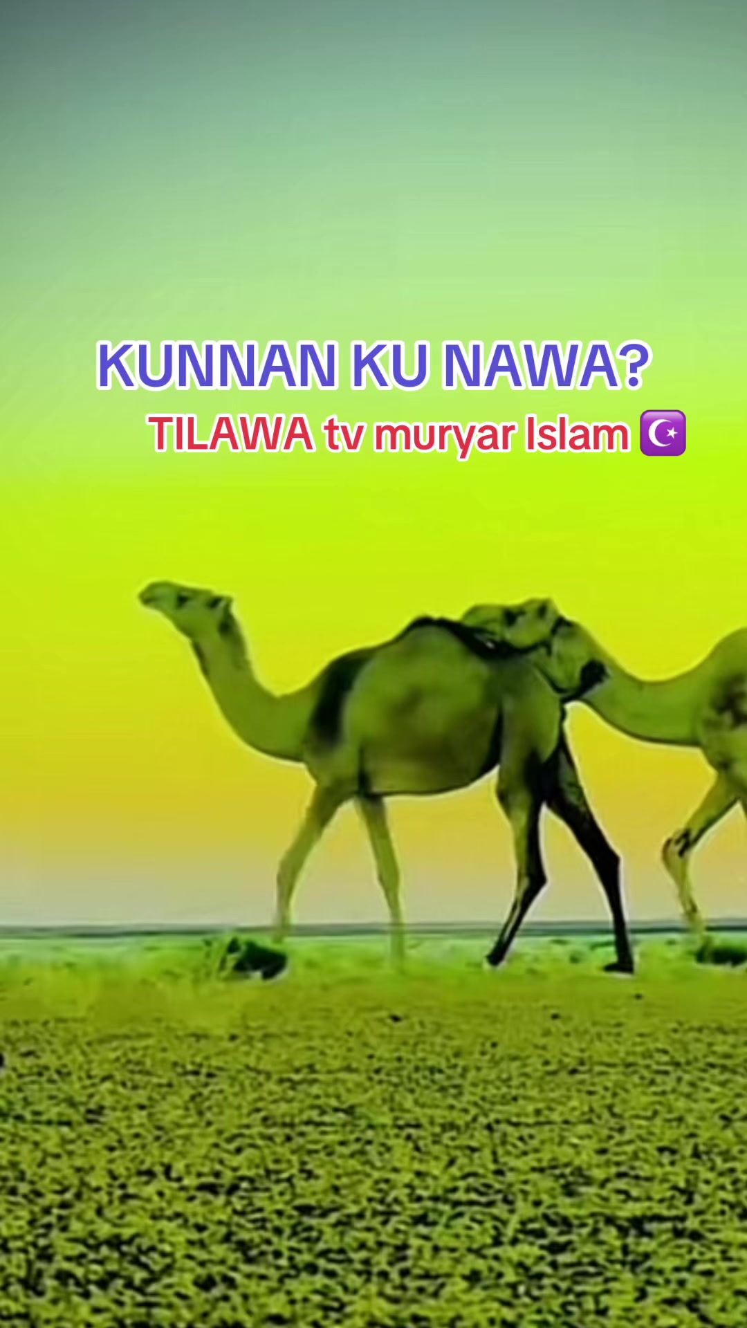@TILAWA TV Official