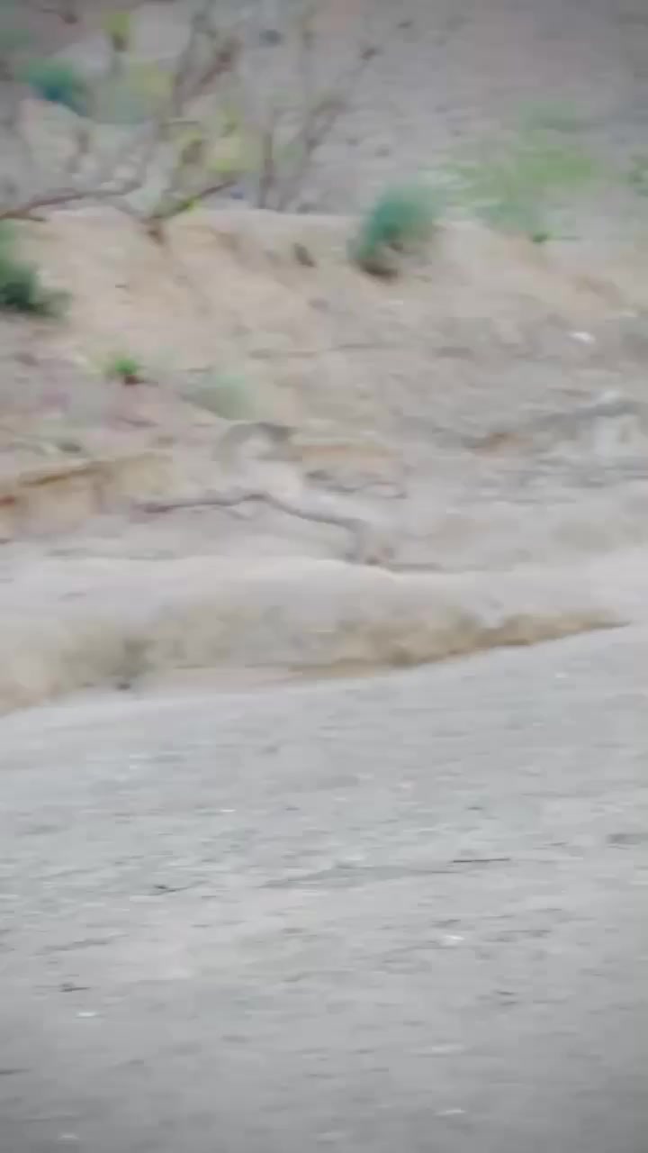 @گمنام✌️✌️