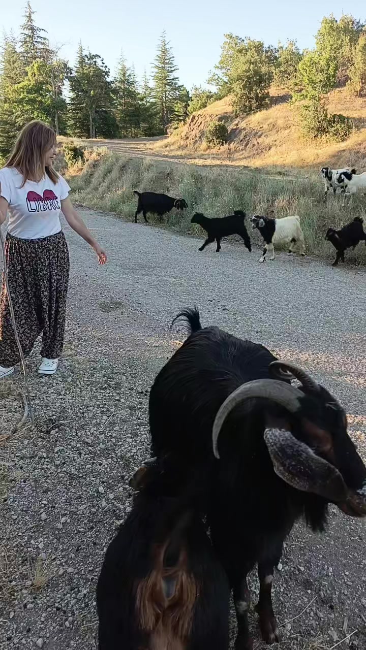 @sosyete &ccedil;obannn🐞🐞🐞