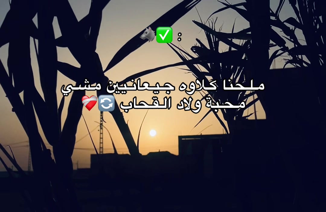 @๐บ๐ ุฎูููููู || ZA9ZO9 ๐๐บ