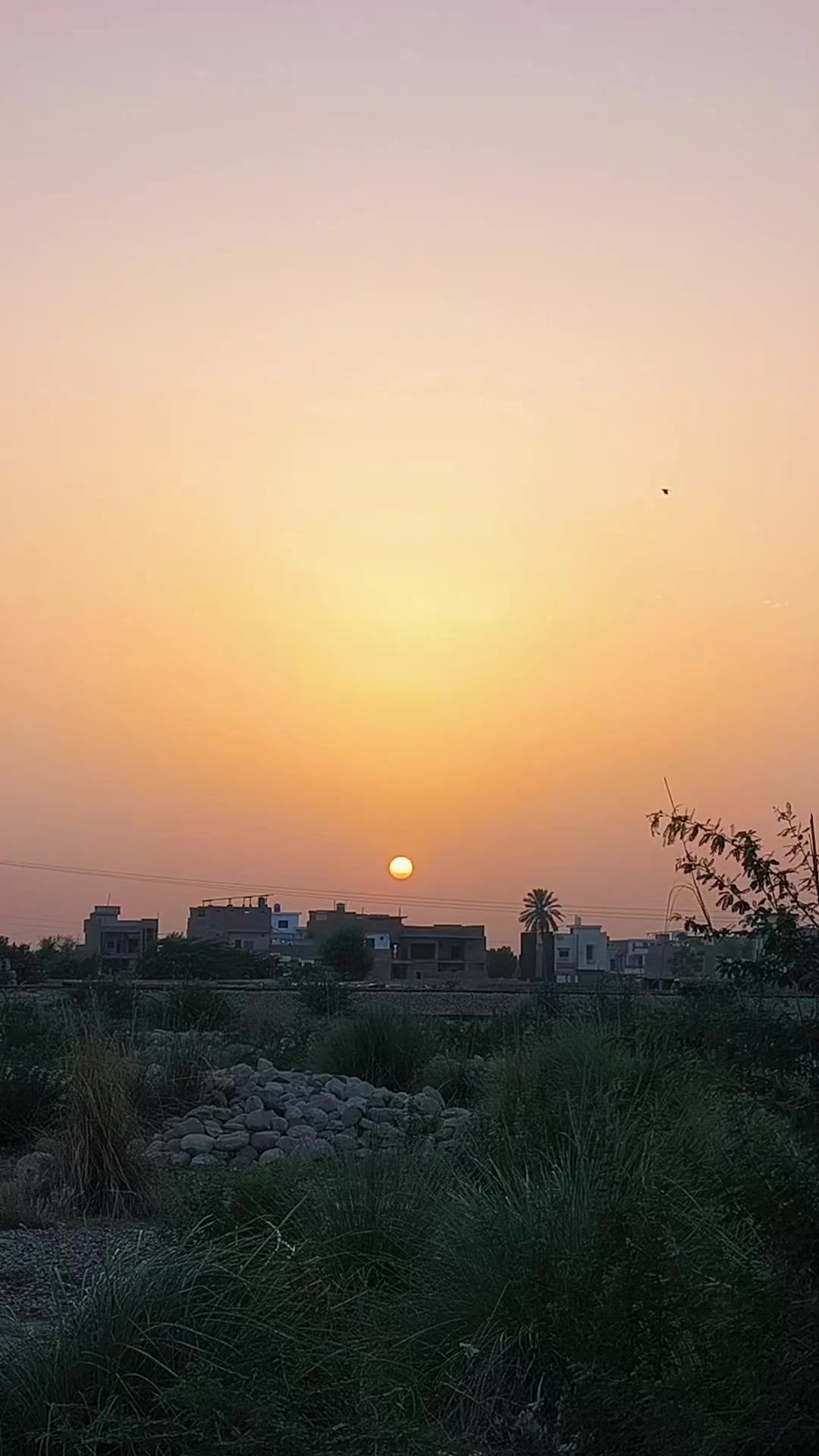 @🥀 روح پُوش