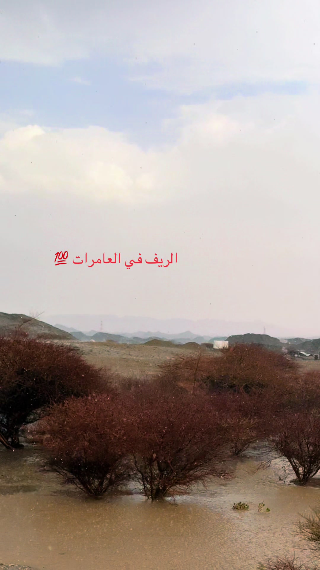 @صالح محمد🇴🇲