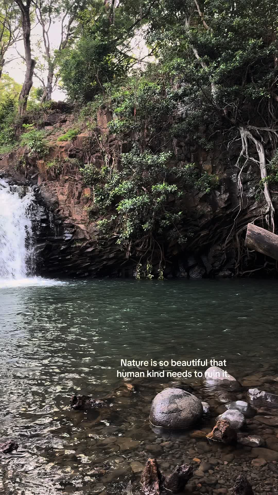 @Mauilani