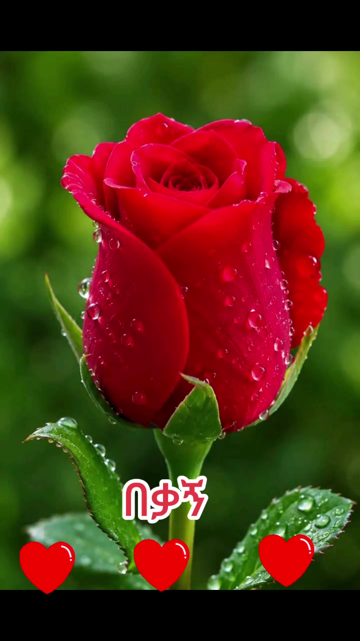 @ብር ነው ብራዘር💪