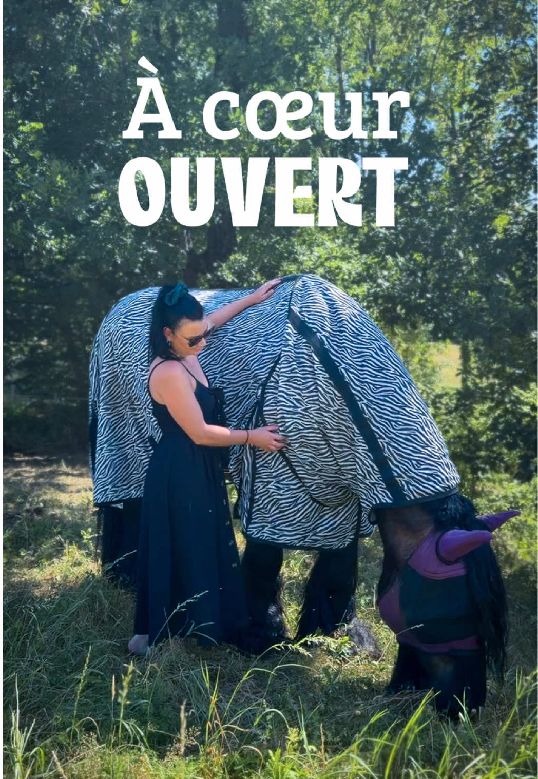@Untraitdecheval
