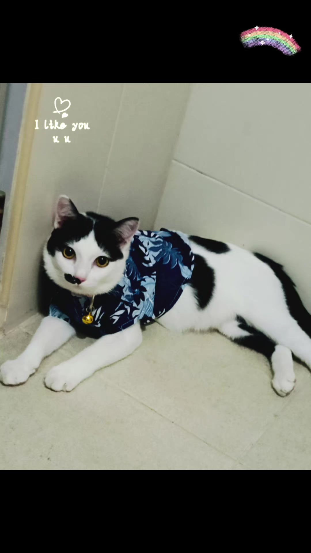@มังคุด