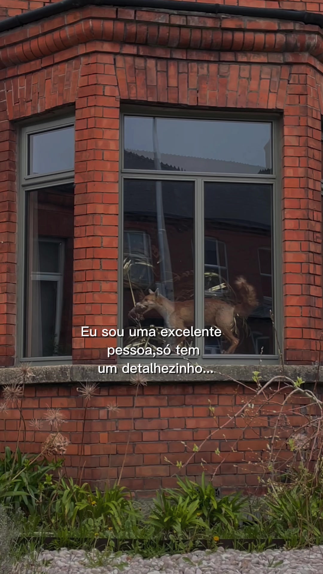 @Aline Ribeiro