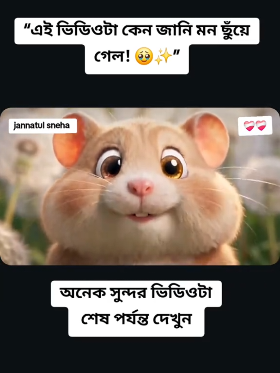 @jannatul sneha