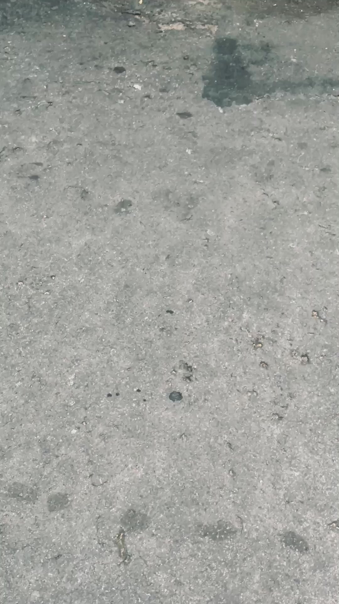 @𝖌𝖆𝖇𝖗𝖎𝖊𝖑𝖑✰