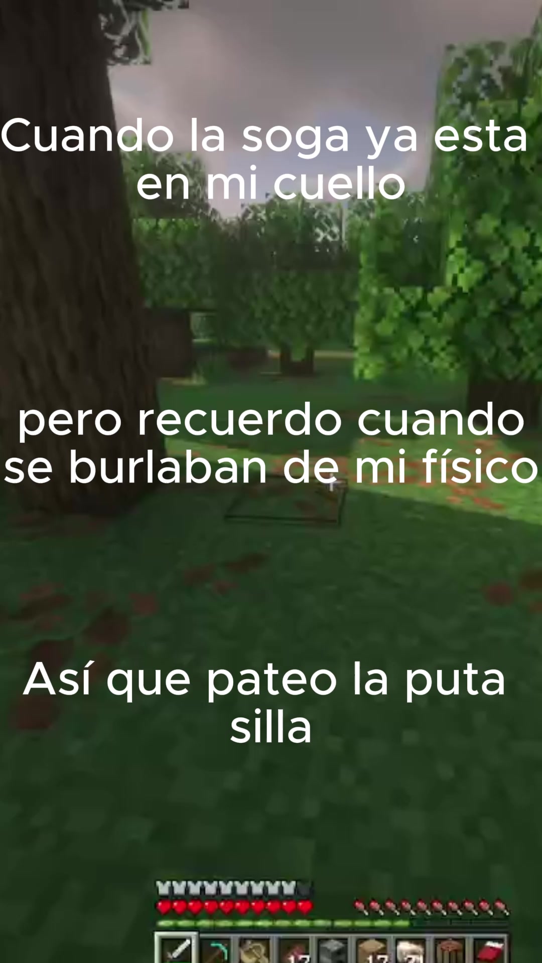 @nicozz41