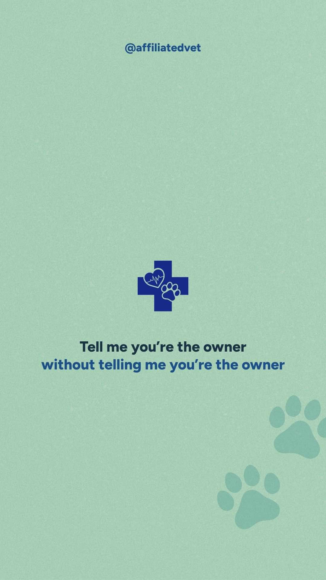 @Affiliated Vet