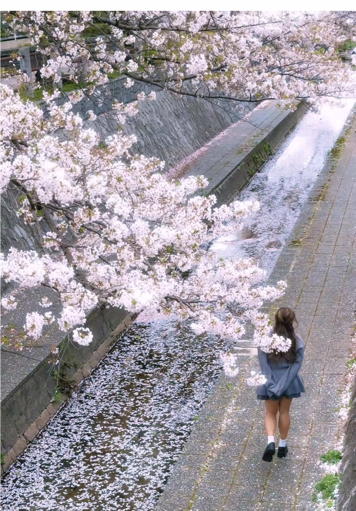 @Maj🌻