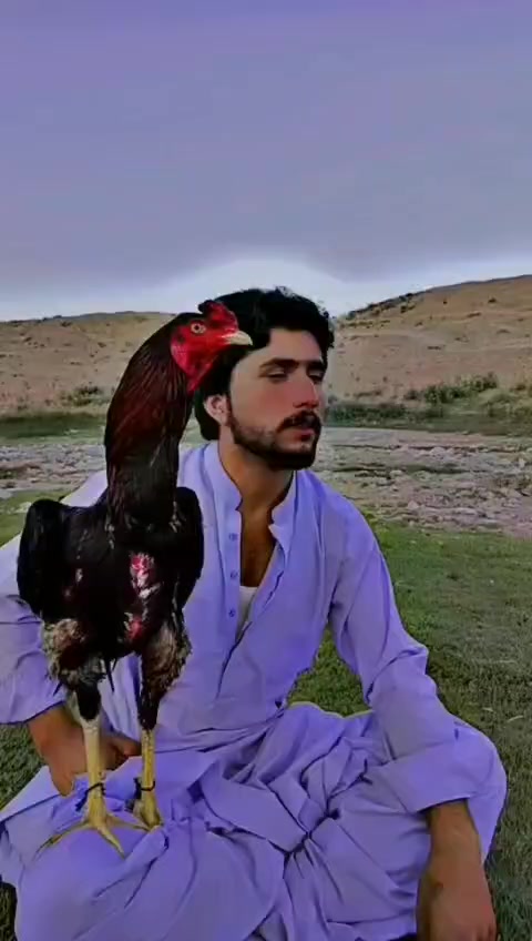 @M S baloch