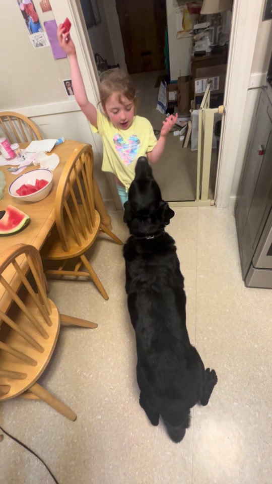@rubenblacklab
