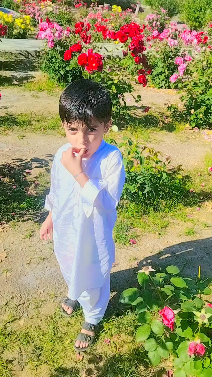 @🇵🇰ANEES KHATTAK🇵🇰